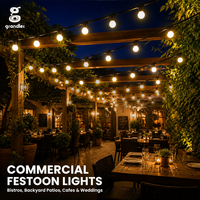 Guirlande lumineuse LED pour décoration de villa, 10m, 20m, 30m, ampoule G45 haute luminosité, E27, guirlande lumineuse extérieure