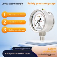 Stainless Steel Shock-Resistant Safety Pressure Gauge YBQH(N) Diaphragm Dual-Range (-0.160 MPa) Explosion-Proof Customizable