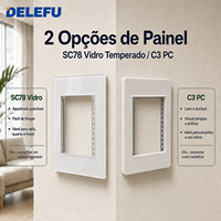 DELEFU Prise murale modulaire blanche en stock local au Brésil, interrupteur 10A 20A, prise brésilienne USB Type-C, panneau en verre PC 20W
