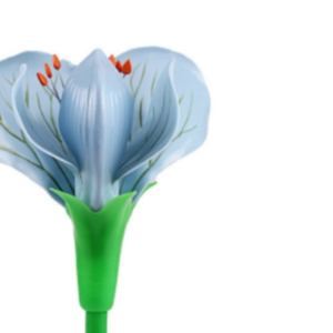 Maniquí de la Estructura de una Flor de Guisante a Tamaño Real Ampliado para Educación y Entrenamiento Escolar - Product Image 5