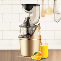 Multifunctionele Elektrische Sapcentrifuge Grote Mond Kauwen Koude Pers Slow Juicer Machine Extractor-Type Fruitmixer