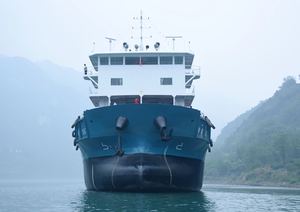 Fazhong tốc độ cao động cơ diesel thép thân tàu số lượng lớn tàu sân bay 2010 xây dựng 100-150m chiều dài <10000t dwt 6200ton teu tàu chở hàng - Product Image 6