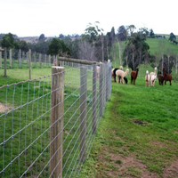 Clôture de ferme en treillis métallique galvanisé à chaud pour bovins et chèvres, enclos de pâturage carré pour bétail, structure métallique