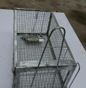 Cage à souris en fil de fer galvanisé, cage de capture vivante pour petits animaux, pour le contrôle des rongeurs - Product Image 3