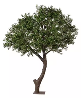 Nouvelle Offre 2025 : Arbre Bonsaï Artificiel d'Olivier Personnalisé (4/5/7/8FT) – Décoration Extérieure de Haute Qualité pour le Nouvel An et les Cérémonies de Remise des Diplômes