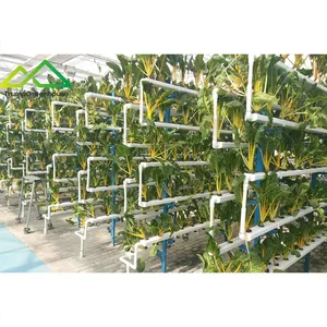 Yeşil için marul/kiraz/çilek ekimi için yeni tasarım tarım ticari Nft derin su kültürü hidroponik sistem