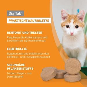 Köpekler ve Kediler için Akut İshal Rahatlatıcı ve Bağırsak İyileştirici, Çiğnenebilir Tabletler, OEM ODM Diyet Takviyesi - Product Image 6