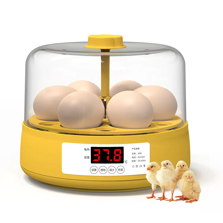 الساخن بيع المزدوج الطاقة الكامل التلقائي حاضنة صغيرة للاستخدام المنزلي 6 جهاز تفريخ بيض الدجاج