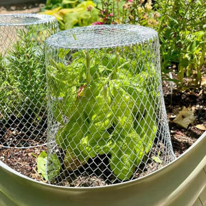 Protector de Hierro Reutilizable para Vegetales, para Invernadero, Trasplante de Plántulas, Protector de Plantas de Hierro - Product Image 2