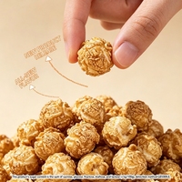 MUI Halal HACCP Snacks sains à faible teneur en sucre saveur truffe sans graisses trans non-OGM vente en gros directe fabricant personnalisé