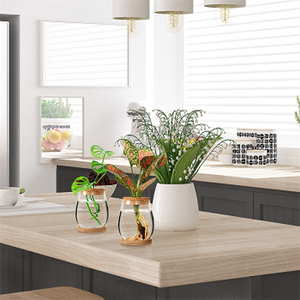 Station <span class=keywords><strong>de</strong></span> propagation des plantes avec logo personnalisé moderne Vase décoratif Jardinière Terrarium en verre Bocal pour la plantation <span class=keywords><strong>de</strong></span> plantes Vase en verre Design unique - Product Image 3