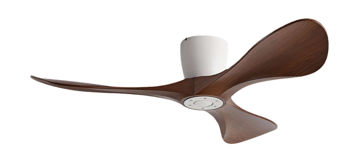 วอลนัทขาว