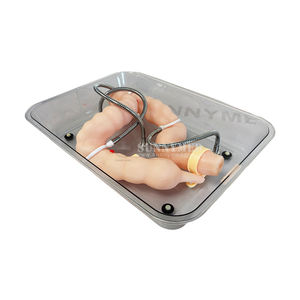 Simulador de colon de fábrica, modelo de enseñanza médica, sistema <span class=keywords><strong>digestivo</strong></span>, simulador de entrenamiento quirúrgico, modelo de colon plegable - Product Image 1