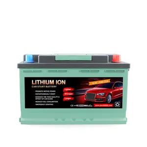 Sistema di stoccaggio Top Batterie Golf Car litio ferro fosfato LFP082-20 12-48V Lifepo4 batteria 48 Volt 100Ah