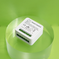 SIXWGH WiFi Module de commutateur mural intelligent Apple HomeKit Siri Alexa Commande vocale 10A Relais Compte à rebours Aucun concentrateur requis CE RoHS