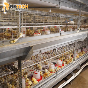 Nigeria H tipo automatico bere strato allevatore batteria gabbia sistema per 10000 galline - Product Image 3
