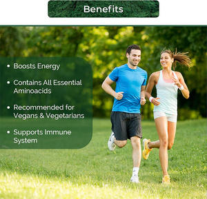 Polvere di Estratto di <span class=keywords><strong>Spirulina</strong></span> Blu Biologica all'Ingrosso, <span class=keywords><strong>Spirulina</strong></span> Verde in Bulk per Esportazione, Prodotti Alimentari e di Bellezza, 300g/sacchetto, Marchio OEM/ODM - Product Image 2