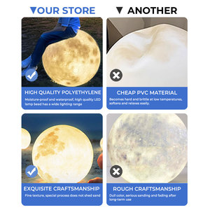 Lampes de jardin LED étanches IP65 à alimentation CC, décorations de pelouse en forme de lune 3D, lampes de sol en gros - Product Image 5