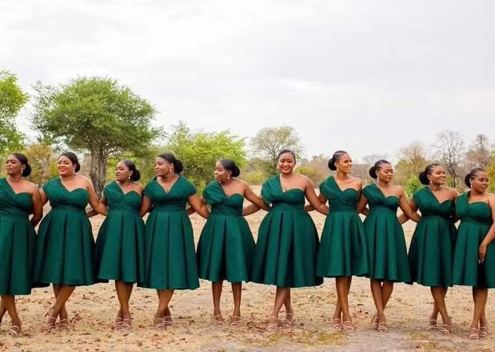 green bridesmaid dresses plus size Berylove Women Plus Size Bridesmaid Dress Sage Green A Line Chiffon Spaghetti Straps Long Wedding Guest Dress with Sash, Sage Green / US12 main image 1