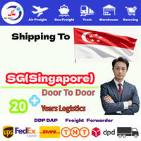 Agent maritime Chine-SG/Singapour DDP porte-à-porte LCL + Transport routier Amazon FBA B2B Service logistique express JUNLIN Alibaba 1688