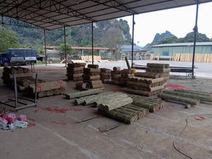 Estacas de Bambú Natural de Fabricación Vietnamita para Soporte de Plantas, Estacas para Viñedos y Cañas de Bambú para Jardín - Product Image 5