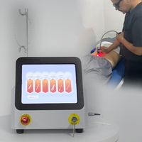 Nouvel équipement laser diode 980 nm de classe IV pour physiothérapie, haute puissance, soulagement de la douleur, chiropratique, 2026