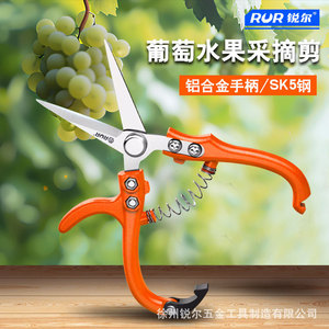 RUR Fruit Picker Pruning Shears 10-20 Mm Stainless Steel Butterfly Design For Pruning Fruit Trees - Product Image 3