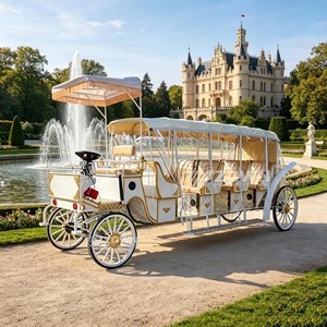 Charrette de luxe ornementale de type traînée par des chevaux pour défilés urbains, aménagement de scènes de mariage et spectacles commerciaux - Product Image 3
