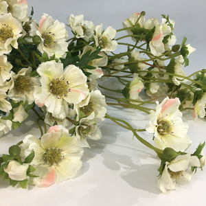 2025 Vente en gros <span class=keywords><strong>Cosmos</strong></span> Flower Row Fleurs et plantes décoratives pour la décoration intérieure ou extérieure de la maison - Product Image 6