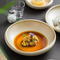 Bol à salade en porcelaine irrégulière, service de vaisselle réactif émaillé pour cuisine, hôtel, restaurant, ensemble de bols en céramique pour ramen et dessert