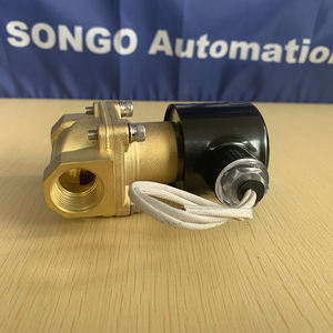 松戈16bar高压双向12VDC活塞蒸汽黄铜磁性电磁阀 - Product Image 6