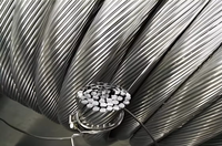Cable de Aluminio Reforzado con Acero para Uso Industrial en Plantas de Energía