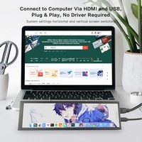 Mini écran large pour ordinateur portable 1920x480 pour IPS 8,8 pouces, écran tactile étirable, écran secondaire, écran d'affichage PC blanc 0ms