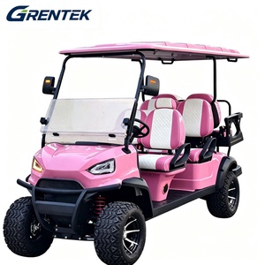 Carrito de Golf Eléctrico Todoterreno de 6 Plazas, Mini Tramván para Parques, Motor de 3500W, 50-70km/h, 48V, para Caminos No Públicos - Product Image 2