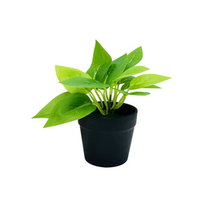 Planta Artificial en Maceta Verde de 16 cm, Decoración Interior de Plástico y Seda, Mini Adorno para Oficina, Balcón o Dormitorio - Product Image 5