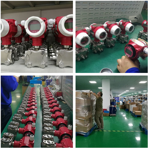 Trasmettitore di pressione LEEG ad alta precisione ATEX IECEx 4-20mA 150psi con <span class=keywords><strong>HART</strong></span> - Product Image 6