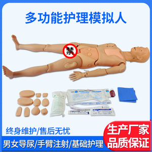 Mannequin d'entraînement infirmier multifonctionnel avancé pour la perfusion intraveineuse et le cathétérisme, vente directe du fabricant - Product Image 1