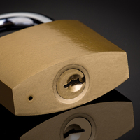 Cadenas en Fer Peint Robuste avec Cylindre en Laiton, Fabrication sur Mesure en Usine OEM, Vente en Gros de Marque