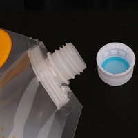 Sacs d'eau debout de boisson de jus portatifs sacs de stockage de céréales pliables personnalisés réutilisables avec la poche de bec de 3l