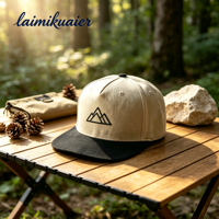 Casquettes Snapback avec broderie 3D personnalisée, coton sergé de haute qualité, OEM ODM, personnalisation de la marque, faible MOQ, flexibles