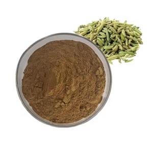 جودة عالية الشمر استخراج خدمة المخزون مسحوق البذور الصالحة للأكل استخراج الشمر - Product Image 3