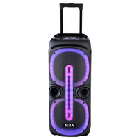 Enceinte de karaoké portable double 10 pouces avec chariot, 2 micros sans fil, lumière LED et télécommande