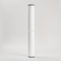 Cartouche filtrante plissée en Nylon66, PTFE, PES, PP de 10, 20, 30, 40 pouces, 0,22/0,45 microns, pour bière, vin et eau, 1000 L/heure