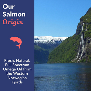 Cápsulas blandas de alta calidad con aceite de salmón y ácidos grasos omega-3, 6 y 9 para el apoyo de la salud de la piel, el cabello, las articulaciones y los huesos. - Product Image 4