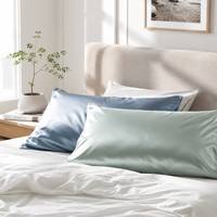 Taie d'oreiller en satin écologique, rectangulaire, couleur unie, fermeture éclair discrète, tissu doux, anti-frisottis, soin quotidien des cheveux et de la peau, OEM
