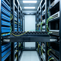 Panel Patch Data Terproteksi Keystone Cat6A STP 24-Port Snap-in Berkinerja Tinggi 3U 19 Inch Rack Mount RoHS untuk Pusat Data