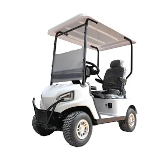 Mini Golf Cart Single Seat 36V 2KW AC System Mobility Scooter Lithium Battery