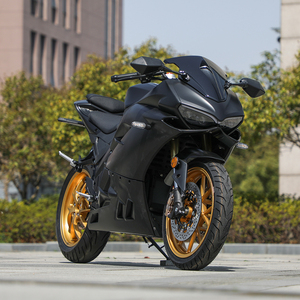 Motocicleta Eléctrica de Carreras Rusia <span class=keywords><strong>Avito</strong></span> DK400 5000W con Motor Lateral de Brazo Oscilante Único, Velocidad de hasta 130 km/h - Product Image 4