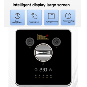 99.99% Zuiverheid Ce Gecertificeerde Draagbare Waterstof Ademhalingsmachine 150Ml Waterstofinhalator Voor Thuis-En Reisgebruik - Product Image 4