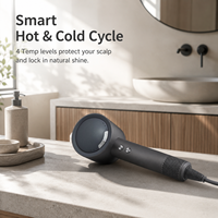 Sèche-cheveux ionique 2 milliards de soufflets, design compact, séchage rapide, diffuseur haute vitesse, cinq fonctions, idéal pour la maison, les voyages et les salons